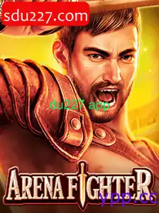 ArenaFighter
